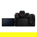 Panasonic DC-S1RM2: Picture 4 thumbnail