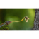 Panasonic DC-S1RM2: Picture 26 thumbnail