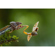 Panasonic DC-S1RM2: Picture 28 thumbnail
