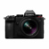 Panasonic LUMIX S 24mm f/1.8: Picture 7 thumbnail
