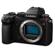 Panasonic LUMIX DC-S5: Picture 2 thumbnail