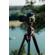 Panasonic LUMIX DC-S5: Picture 19 thumbnail