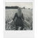 Polaroid B&W Instant Film: Picture 6 thumbnail