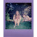 Polaroid Go Color: Picture 6 thumbnail
