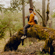 Peak Design 7L Outdoor Sling Bag: Picture 13 thumbnail