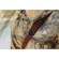 Peak Design Everyday Sling V2: Picture 7 thumbnail