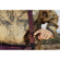 Peak Design Everyday Sling V2: Picture 8 thumbnail