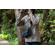 Peak Design Field Pouch V2: Picture 19 thumbnail
