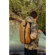 Peak Design 30L Travel Backpack: Picture 14 thumbnail