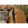 Peak Design 30L Travel Backpack: Picture 15 thumbnail