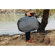 Peak Design 45L Travel Backpack: Picture 22 thumbnail