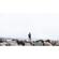 Peak Design Travel Backpack: Picture 8 thumbnail