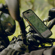 Peak Design Mobile GNAR Case for Apple i...: Picture 11 thumbnail