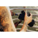 Peak Design Slide Camera Strap: Picture 12 thumbnail