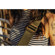 Peak Design Slide Camera Strap: Picture 6 thumbnail