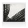Polaroid B&W Instant Film: Picture 4 thumbnail