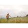 Peak Design Travel Tripod: Picture 25 thumbnail