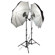 Photoflex DP-FSPTKT First Studio Portrai...: Picture 1 thumbnail