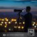 Prograde Digital Cobalt CFexpress Type-B: Picture 2 thumbnail