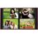 Pioneer Photo Album Pioneer PTCH246 RASPBERRY Patch Faux Alb...: Picture 2 thumbnail
