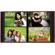 Pioneer Photo Album Pioneer PTCH46 RASPBERRY Patch Faux Albu...: Picture 2 thumbnail