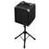 Phil Jones Bass Super Cub AG-300: Picture 1 thumbnail