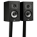 Polk Audio Monitor XT20: Picture 2 thumbnail