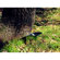ProLights DOTQPACK: Picture 5 thumbnail
