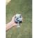 Platypod Platyball: Picture 1 thumbnail