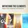 PNY Technologies Elite-X SDXC: Picture 6 thumbnail