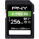 PNY Technologies X-PRO 90: Picture 1 thumbnail