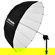 Profoto 10098 DP: Picture 1 thumbnail