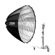 Profoto Soft Zoom Reflector: Picture 1 thumbnail
