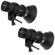 Profoto ComPactPlus 300 ProValue Pack: Picture 2 thumbnail