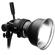 Profoto ProHead Plus with 500W Modeling Lamp