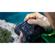 Profoto B1X: Picture 20 thumbnail