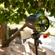 Profoto A2: Picture 13 thumbnail