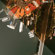 Polar Pro Cinematic Color Presets: Picture 2 thumbnail