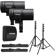 Profoto B20: Picture 1 thumbnail