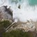 Polar Pro Exposure Collection: Picture 2 thumbnail