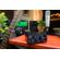 PreSonus AudioBox GO: Picture 7 thumbnail