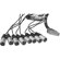 Pro Co Sound DB25 to XLR Male Cable: Picture 2 thumbnail