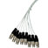Pro Co Sound 20' 8CH XLR-Female to XLR-M...: Picture 1 thumbnail