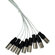 Pro Co Sound 20' 8CH XLR-Female to XLR-M...: Picture 2 thumbnail