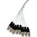 Pro Co Sound 50' 8CH XLR-Female to XLR-M...: Picture 2 thumbnail