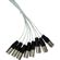 Pro Co Sound 50' 8CH XLR-Female to XLR-M...: Picture 3 thumbnail