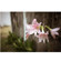 Adorama 34mm F/1.8: Picture 4 thumbnail