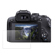 Canon EOS R10: Picture 5 thumbnail