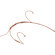 Point Source Audio SERIES8 CO-8WD Omnidi...: Picture 1 thumbnail