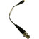 Point Source Audio SERIES8 CO-8WLh High ...: Picture 6 thumbnail